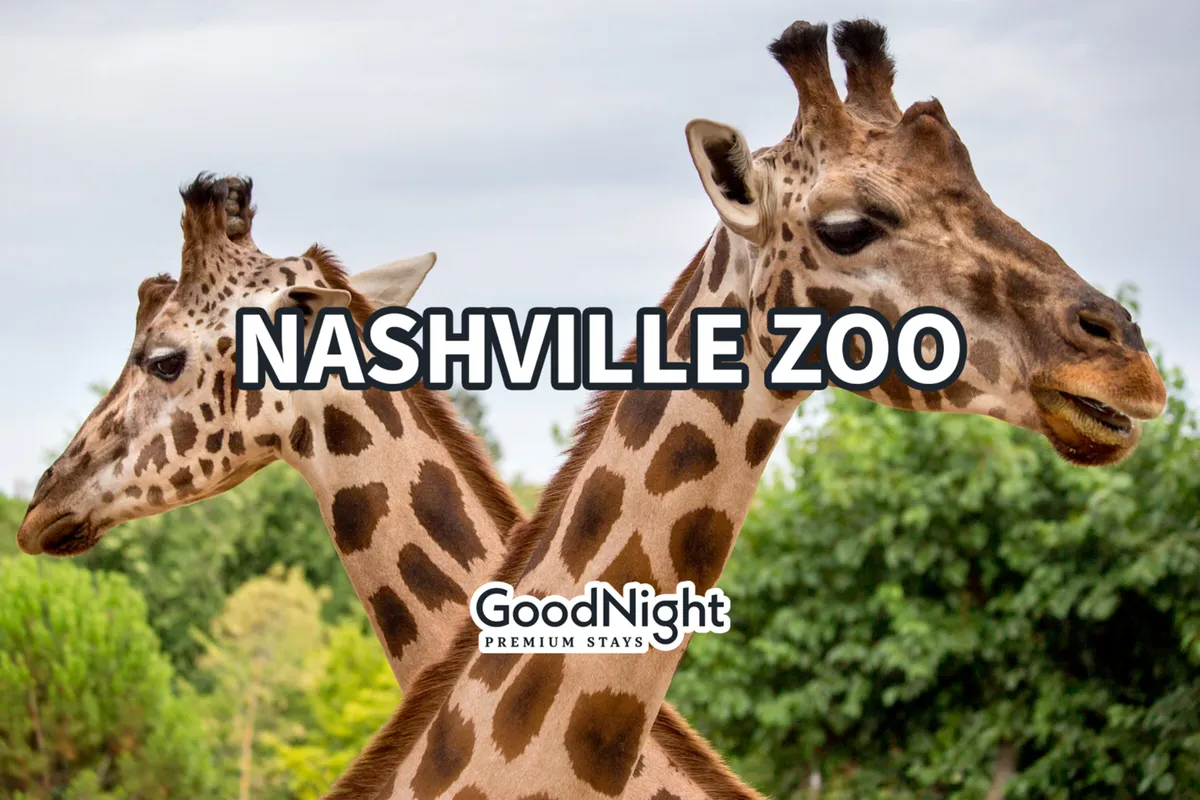This image captures giraffes surrounded by lush green foliage, evoking the excitement of wildlife observation and family outings. The scene is cheerful, adventurous, and clearly set within a zoo or animal park context, making it relatable to all ages and directly supporting the mention of the nearby Nashville Zoo.